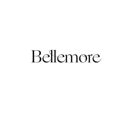 32498 geodir logo bellemore chicago logo 1 1