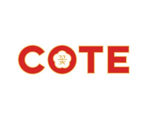 35131 geodir logo cote flatiron new york logo 1