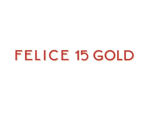 975 geodir logo felice 15 gold street new york ny logo 1