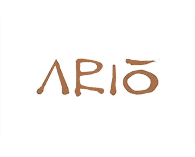 ario marco island fl logo 1