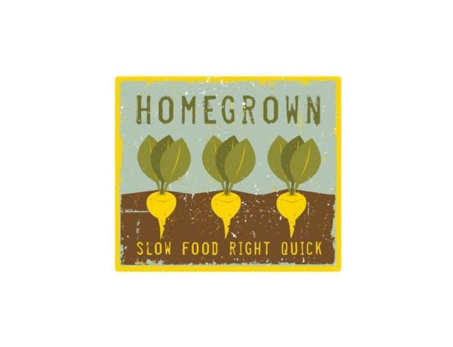 homegrown asheville nc north logo 1 1