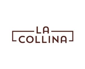 la collina washington dc logo 1 1 300x243