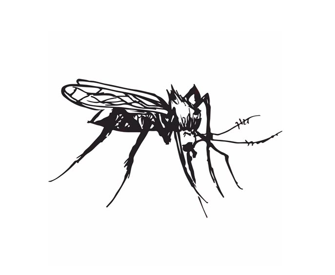 mosquito supper club new orleans la logo 1 1