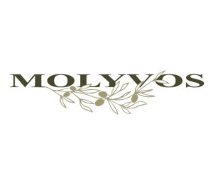 molyvos new york ny logo 1 1 300x240