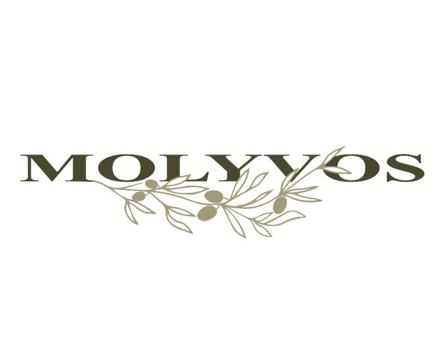 molyvos new york ny logo 1