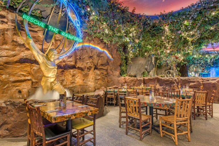 rainforest cafe lake buena vista fl interior 2 768x512