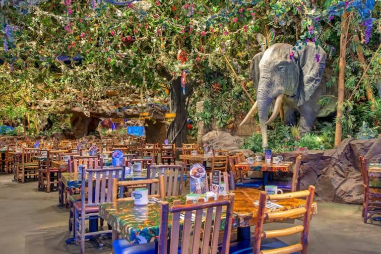 rainforest cafe lake buena vista fl interior 3 768x512