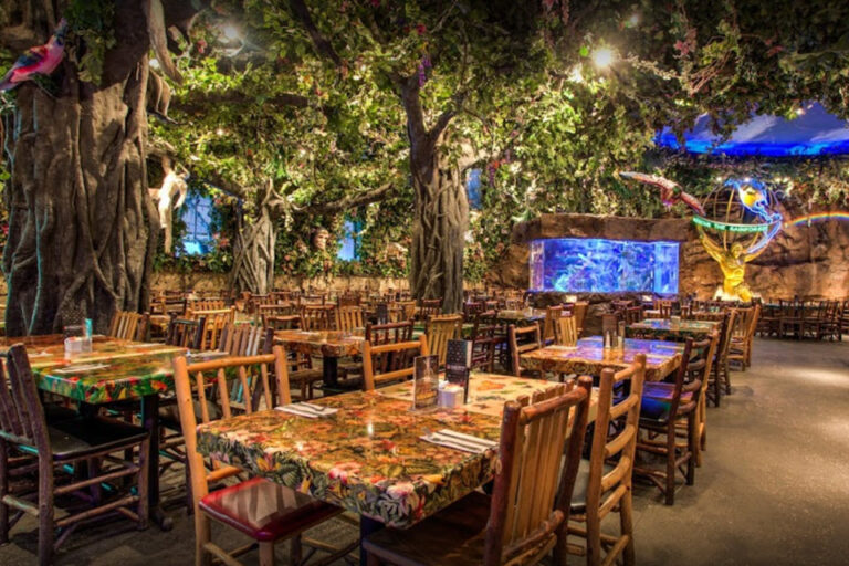 rainforest cafe lake buena vista fl interior 4 768x512