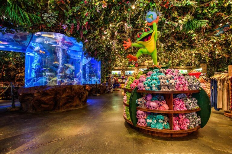 rainforest cafe lake buena vista fl interior 5 768x512