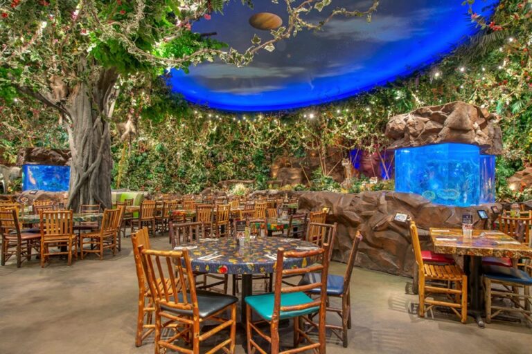 rainforest cafe lake buena vista fl interior 6 768x512