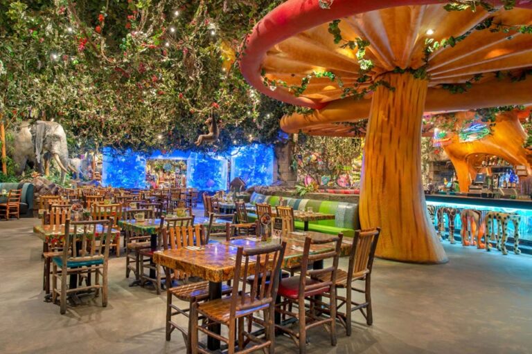 rainforest cafe lake buena vista fl interior 7 768x512