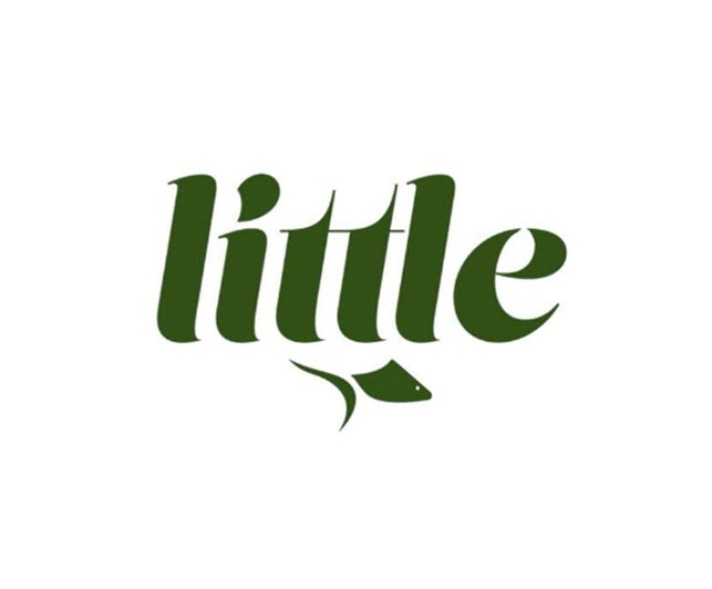 little fish philadelphia pa logo 1 1