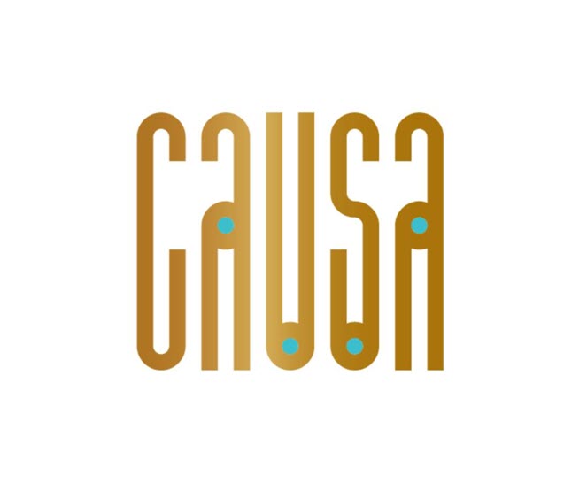 causa washington dc logo 1