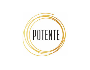 potente houston tx logo 1 300x234