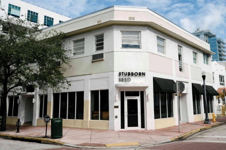 stubborn seed miami beach fl exterior 1 768x512