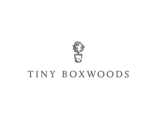 tiny boxwoods austin tx logo 1