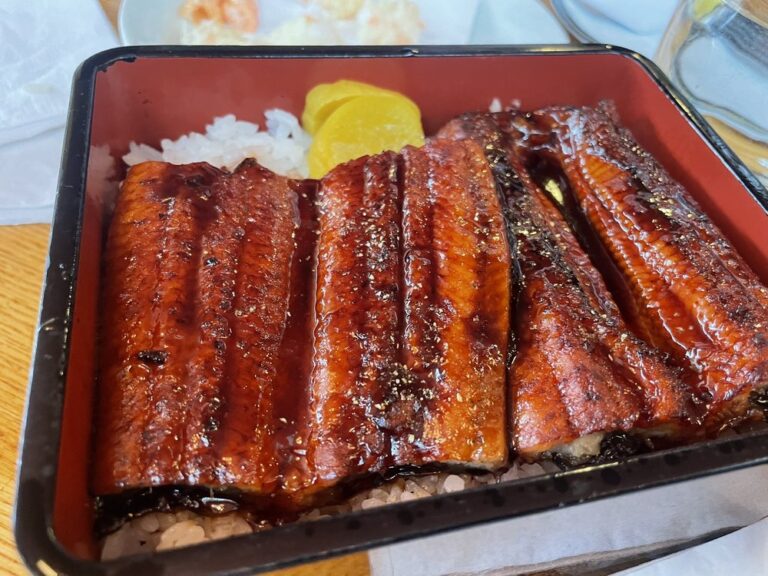 sagami japanese restaurant collingswood food 6 768x576