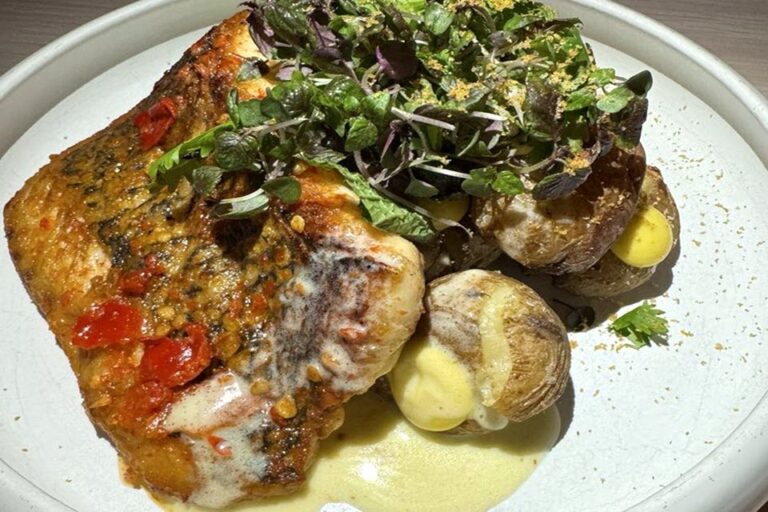 ash tampa fl food 5 768x512