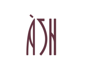 ash tampa fl logo 1 1 300x256