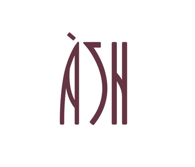 ash tampa fl logo 1