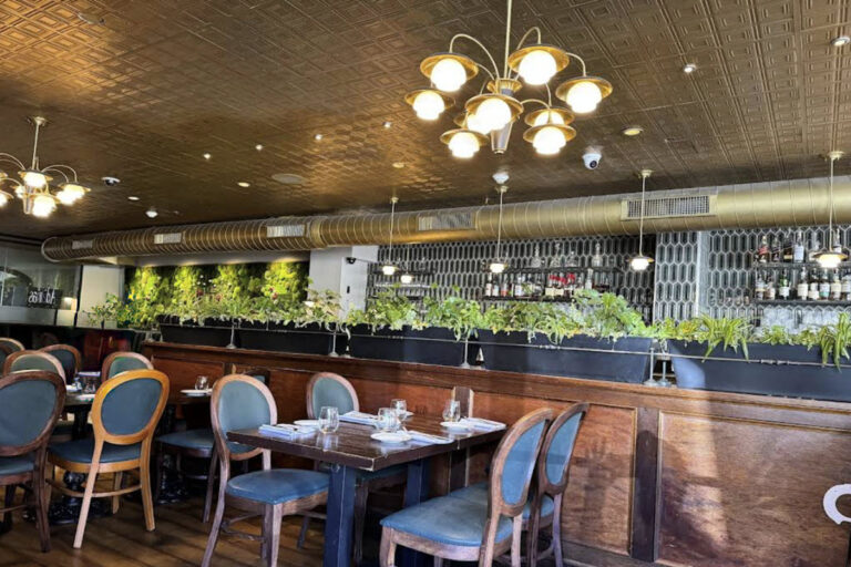 adelinas restaurant and bar chestnut hill philadelphia pa interior 3 768x512