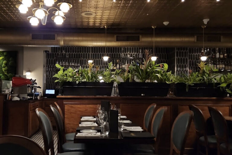 adelinas restaurant and bar chestnut hill philadelphia pa interior 5 768x512