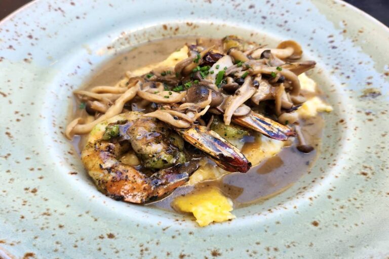 social bird lafayette ca food 3 768x512